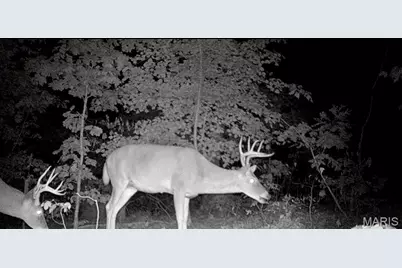 16072 State Hwy F, Potosi, MO 63664 - Photo 63