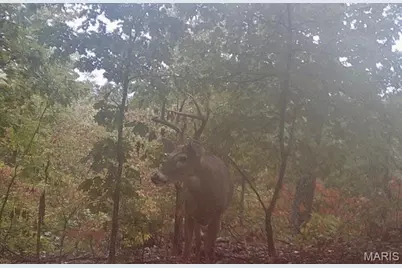 16072 State Hwy F, Potosi, MO 63664 - Photo 53