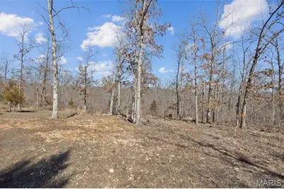 16072 State Hwy F, Potosi, MO 63664 - Photo 49