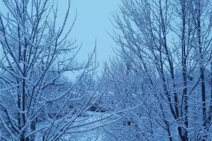 3110 Autumn Shores Dr, Maryland Heights, MO 63043 - Photo 37