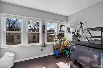 3920 Detonty Street, Saint Louis, MO 63110 - Photo 27