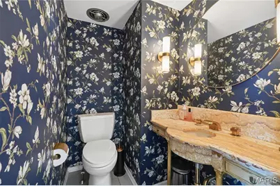 62 Briarcliff, Saint Louis, MO 63124 - Photo 23