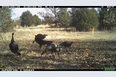 000 Truxton Church Road, Truxton, MO 63381 - Photo 57