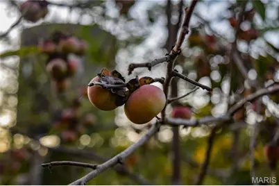 000 Truxton Church Road, Truxton, MO 63381 - Photo 41