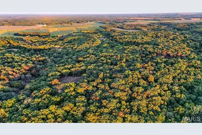 000 Truxton Church Road, Truxton, MO 63381 - Photo 7