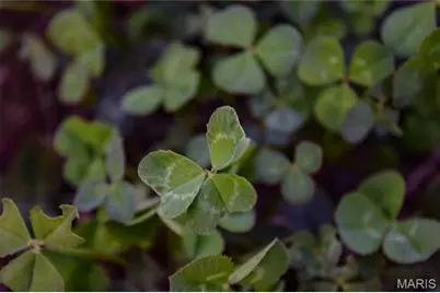 000 Truxton Church Road, Truxton, MO 63381 - Photo 23