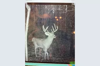 000 Truxton Church Road, Truxton, MO 63381 - Photo 47