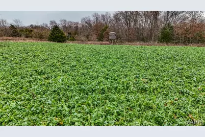 000 Truxton Church Road, Truxton, MO 63381 - Photo 19