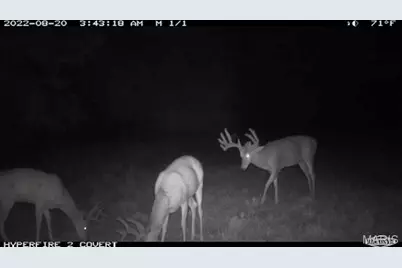 000 Truxton Church Road, Truxton, MO 63381 - Photo 49