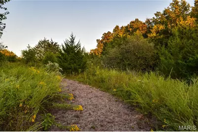 000 Truxton Church Road, Truxton, MO 63381 - Photo 39