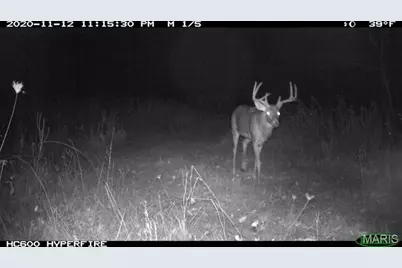 000 Truxton Church Road, Truxton, MO 63381 - Photo 59