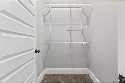 4418 Connecticut Street, Saint Louis, MO 63116 - Photo 37