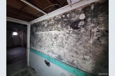 5924 Michigan Avenue, Saint Louis, MO 63111 - Photo 17