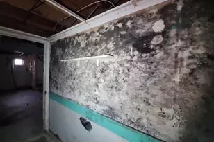 5924 Michigan Ave, Saint Louis, MO 63111 - Photo 17