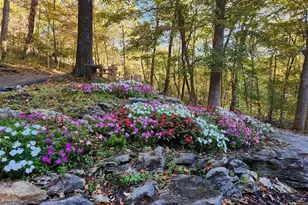 832 Stone Bridge Springs Dr, Wildwood, MO 63005 - Photo 3