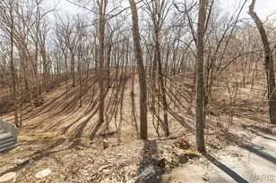 832 Stone Bridge Springs Dr, Wildwood, MO 63005 - Photo 9