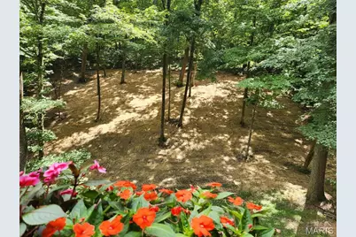 832 Stone Bridge Springs Drive, Wildwood, MO 63005 - Photo 5