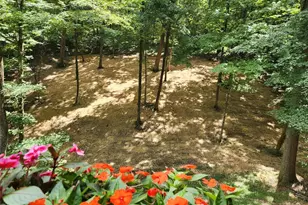 832 Stone Bridge Springs Dr, Wildwood, MO 63005 - Photo 5