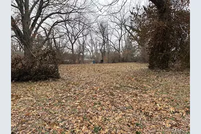 5065 Davison Avenue, Saint Louis, MO 63120 - Photo 3