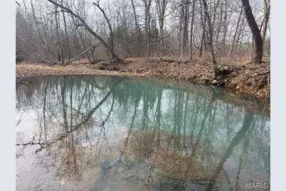 Tract 2 & 3 Off Madison 248, Fredericktown, MO 63645 - Photo 37