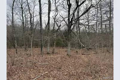 Tract 2 & 3 Off Madison 248, Fredericktown, MO 63645 - Photo 11