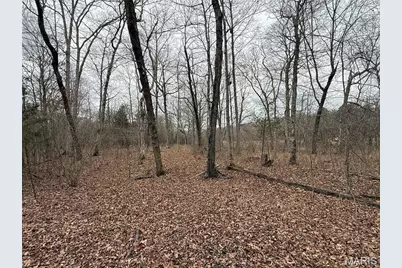 Tract 2 & 3 Off Madison 248, Fredericktown, MO 63645 - Photo 19