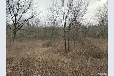 Tract 2 & 3 Off Madison 248, Fredericktown, MO 63645 - Photo 15