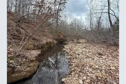 Tract 2 & 3 Off Madison 248, Fredericktown, MO 63645 - Photo 9