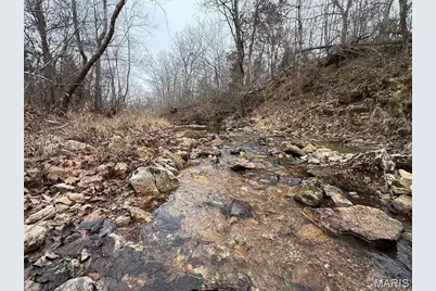 Tract 2 & 3 Off Madison 248, Fredericktown, MO 63645 - Photo 23