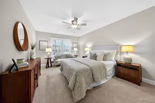 416 Caprice Gardens Ct, Ballwin, MO 63011 - Photo 33