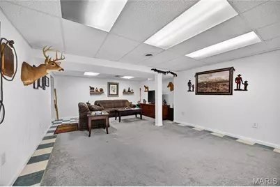 530 Cedar Lane, Festus, MO 63028 - Photo 19