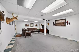 530 Cedar Ln, Festus, MO 63028 - Photo 19