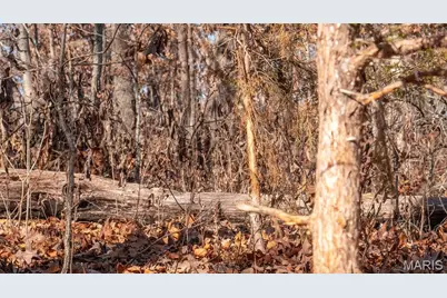 27001 Highway T, Grover, MO 65078 - Photo 23