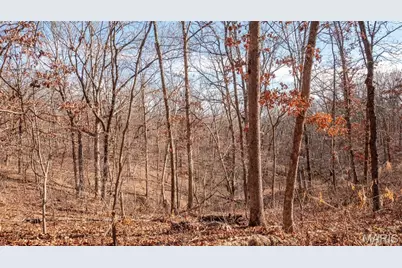 27001 Highway T, Grover, MO 65078 - Photo 25