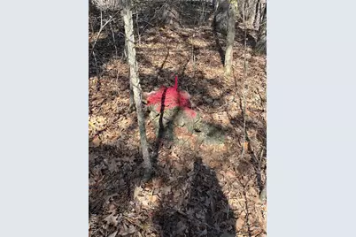 10272 Old Black River Road, Potosi, MO 63664 - Photo 7