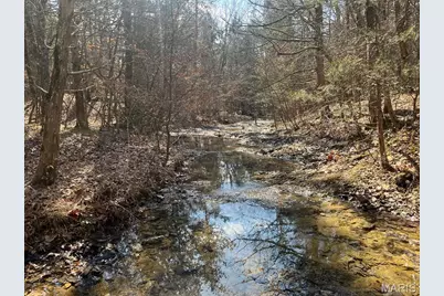 10272 Old Black River Road, Potosi, MO 63664 - Photo 1