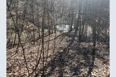 10272 Old Black River Road, Potosi, MO 63664 - Photo 3