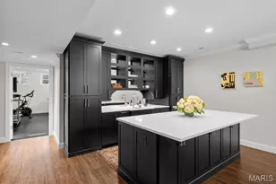 12 Ladue Manor, Ladue, MO 63124 - Photo 49