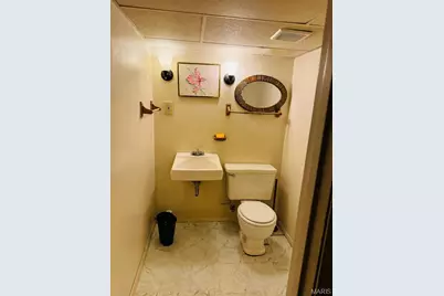 3092 Wintergreen Drive, Florissant, MO 63033 - Photo 19