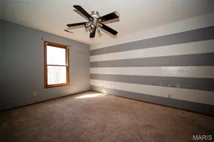 131 Blue Ridge Trce, Festus, MO 63028 - Photo 29