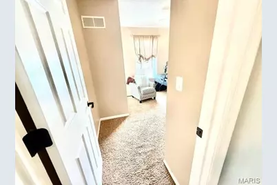 6127 Barrington Oaks Drive, Cedar Hill, MO 63016 - Photo 31