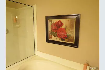 122 Lily Pad Lane, Saint Peters, MO 63376 - Photo 21