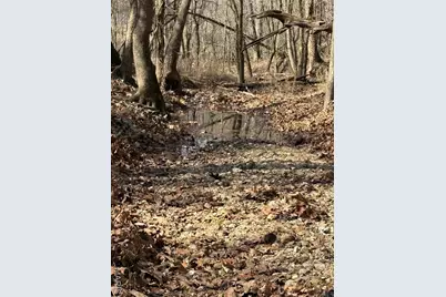 0 Hill Side Dr, De Soto, MO 63020 - Photo 35