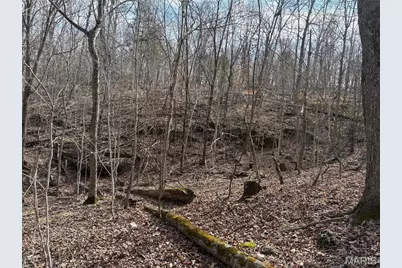 0 Hill Side Dr, De Soto, MO 63020 - Photo 31