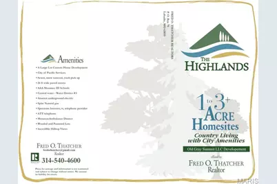 652 # 16 Highlands Court, Pacific, MO 63069 - Photo 5