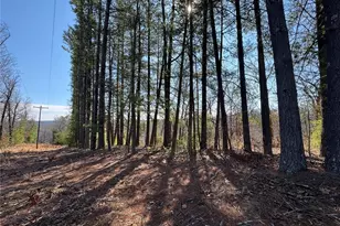 224 Chapel Pk Dr, Sullivan, MO 63080 - Photo 59