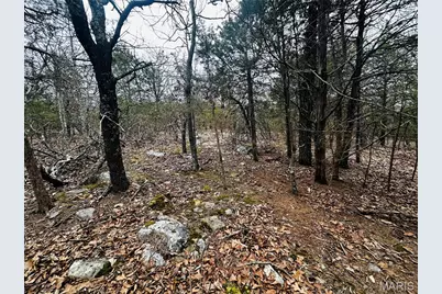 1920 Lake Forest Drive, Park Hills, MO 63601 - Photo 9