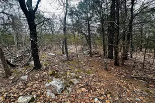 1920 Lake Forest Dr, Park Hills, MO 63601 - Photo 9