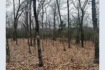 1920 Lake Forest Drive, Park Hills, MO 63601 - Photo 5