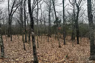 1920 Lake Forest Dr, Park Hills, MO 63601 - Photo 5